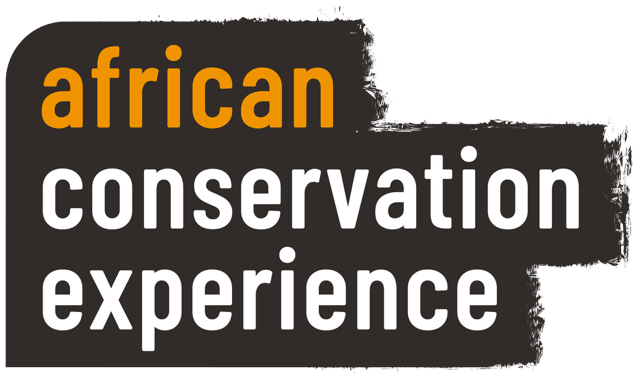 ACE Logo-new-2025 African conservation experience new logo 2025
