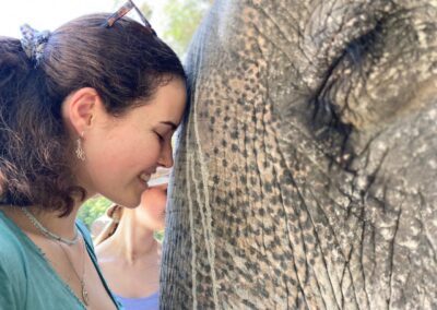 The leap volunteer with forehead touching Elephant